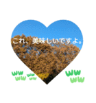 取り憑かれるようにして 日常挨拶 涙覚え（個別スタンプ：11）