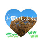 取り憑かれるようにして 日常挨拶 涙覚え（個別スタンプ：17）