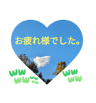 取り憑かれるようにして 日常挨拶 涙覚え（個別スタンプ：22）