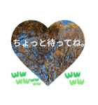 取り憑かれるようにして 日常挨拶 涙覚え（個別スタンプ：25）