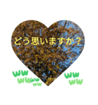 取り憑かれるようにして 日常挨拶 涙覚え（個別スタンプ：29）