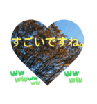 取り憑かれるようにして 日常挨拶 涙覚え（個別スタンプ：30）