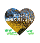 取り憑かれるようにして 日常挨拶 涙覚え（個別スタンプ：35）