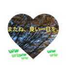 取り憑かれるようにして 日常挨拶 涙覚え（個別スタンプ：36）