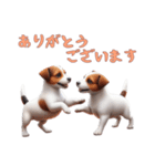 [ありがとう専用]ジャックラッセルテリア（個別スタンプ：4）