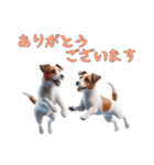[ありがとう専用]ジャックラッセルテリア（個別スタンプ：5）