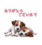 [ありがとう専用]ジャックラッセルテリア（個別スタンプ：6）