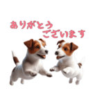 [ありがとう専用]ジャックラッセルテリア（個別スタンプ：7）