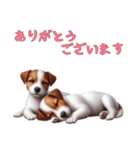 [ありがとう専用]ジャックラッセルテリア（個別スタンプ：8）