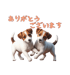 [ありがとう専用]ジャックラッセルテリア（個別スタンプ：10）