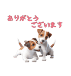 [ありがとう専用]ジャックラッセルテリア（個別スタンプ：14）