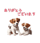 [ありがとう専用]ジャックラッセルテリア（個別スタンプ：15）