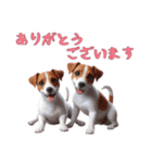 [ありがとう専用]ジャックラッセルテリア（個別スタンプ：16）