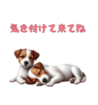 [気を付けて来てね]ジャックラッセルテリア（個別スタンプ：1）