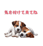 [気を付けて来てね]ジャックラッセルテリア（個別スタンプ：2）