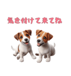 [気を付けて来てね]ジャックラッセルテリア（個別スタンプ：3）