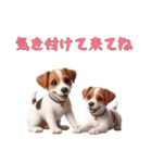 [気を付けて来てね]ジャックラッセルテリア（個別スタンプ：4）