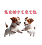 [気を付けて来てね]ジャックラッセルテリア（個別スタンプ：7）