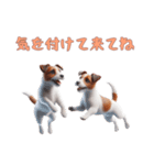 [気を付けて来てね]ジャックラッセルテリア（個別スタンプ：8）