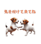 [気を付けて来てね]ジャックラッセルテリア（個別スタンプ：9）
