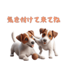 [気を付けて来てね]ジャックラッセルテリア（個別スタンプ：10）