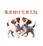 [気を付けて来てね]ジャックラッセルテリア（個別スタンプ：14）