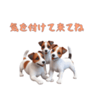[気を付けて来てね]ジャックラッセルテリア（個別スタンプ：15）