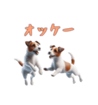 [オッケー専用]ジャックラッセルテリア（個別スタンプ：2）