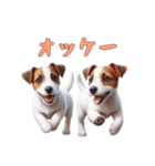 [オッケー専用]ジャックラッセルテリア（個別スタンプ：5）