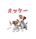 [オッケー専用]ジャックラッセルテリア（個別スタンプ：6）