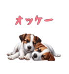 [オッケー専用]ジャックラッセルテリア（個別スタンプ：7）