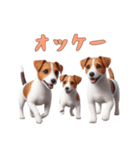 [オッケー専用]ジャックラッセルテリア（個別スタンプ：9）