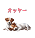 [オッケー専用]ジャックラッセルテリア（個別スタンプ：10）