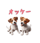 [オッケー専用]ジャックラッセルテリア（個別スタンプ：11）