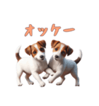 [オッケー専用]ジャックラッセルテリア（個別スタンプ：12）