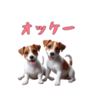 [オッケー専用]ジャックラッセルテリア（個別スタンプ：14）