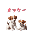 [オッケー専用]ジャックラッセルテリア（個別スタンプ：15）