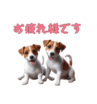 [お疲れ様です専用]ジャックラッセルテリア（個別スタンプ：2）