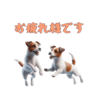 [お疲れ様です専用]ジャックラッセルテリア（個別スタンプ：7）