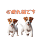 [お疲れ様です専用]ジャックラッセルテリア（個別スタンプ：9）