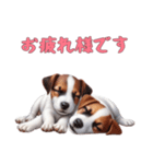 [お疲れ様です専用]ジャックラッセルテリア（個別スタンプ：11）