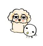 ゆるだる犬【太郎】4（個別スタンプ：1）