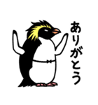 サラペンリボン（個別スタンプ：5）
