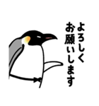 サラペンリボン（個別スタンプ：9）