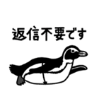 サラペンリボン（個別スタンプ：29）