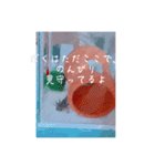 ウーパールーパー「ぷくぷく」（個別スタンプ：5）