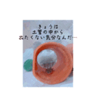 ウーパールーパー「ぷくぷく」（個別スタンプ：6）