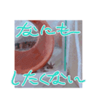 ウーパールーパー「ぷくぷく」（個別スタンプ：9）