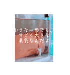 ウーパールーパー「ぷくぷく」（個別スタンプ：11）