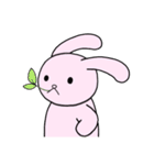 あまりにもかわいい☆生粋のウサギさん（個別スタンプ：11）